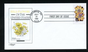 US 2653 Wildflowers - Tickseed ADDR Artmaster FDC