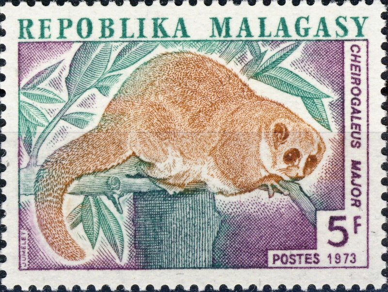 MADAGASCAR - 1973 Yv.536 / Mi.698 - 5fr Lémurien (Cheirogalous Major) **