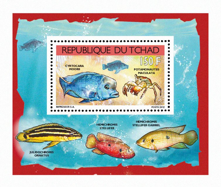 Chad 2012 Imperf. Fish and Shellfish 2012 Full No. 2523 A- 2526 A - BL. 407 - 410-