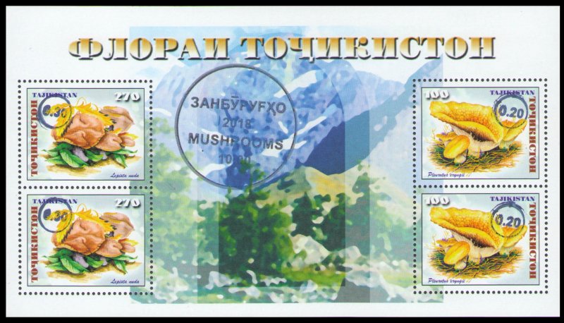 2018 Tajikistan 793-94I+793-94II/B78 overprint cobalt blue / Mushrooms 5,00 €