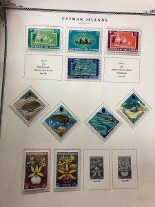 CAYMAN ISLANDS – 423901