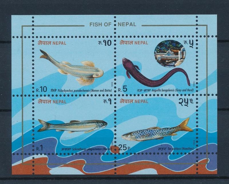 [39152] Nepal 1993 Marine Life Fish MNH Sheet