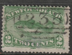 Newfoundland #46  with pretty 235 cancel , used    (1345)