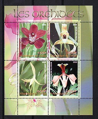 Congo, 2009 issue. Orchids sheet of 4. ^