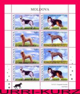 MOLDOVA 2006 Fauna Domestic Farm Animals Pets Dogs m-s Sc539-542 Mi565-568 MNH