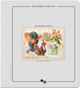 Supplement. SCOUTING VOLUME XVII 2007 A Unmounted