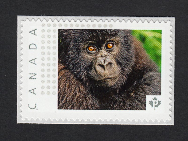 GORILLA'S FACE = Monkey = Picture Postage Stamp Canada 2015 MNH p15-01-sn14