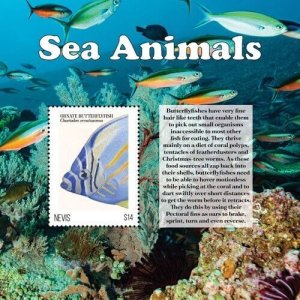 Nevis 2019 - Sea Animals Butterfish -Souvenir stamp sheet - Scott #2003 - MNH 