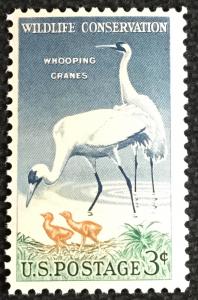 US #1098 MNH Single Wildlife Conservation Whooping Cranes SCV $.25 L4