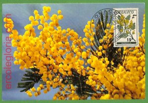 32427 - MONACO - MAXIMUM CARD - Flowers-