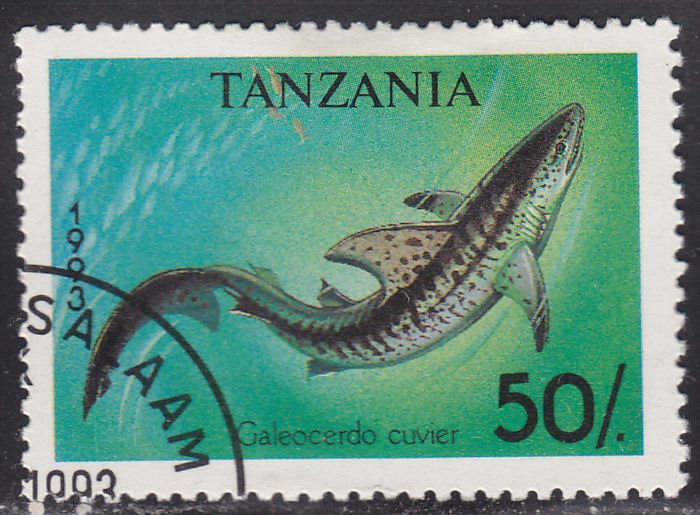 Tanzania 1138 Galeacerdo Cuvier Shark 1993
