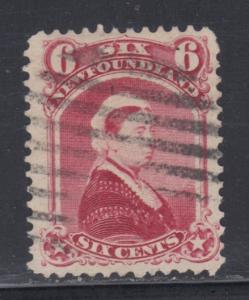 Newfoundland     cat #36    u     cat $22.50