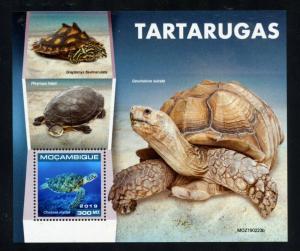 MOZAMBIQUE  2019 TURTLES SOUVENIR SHEET  MINT NH