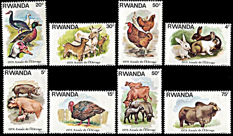 Rwanda 897-904, MNH, Year of Domestic Animal Breeding