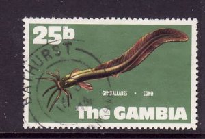 Gambia-Sc#259-used 25b West African Eel Cat-Fish-id1-1971-