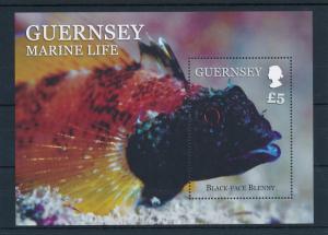 [29383] Guernsey 2013 Marine Life Fish MNH Sheet