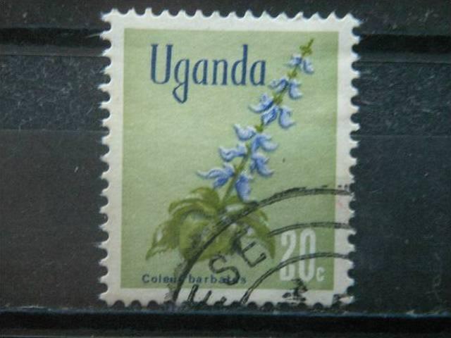 UGANDA,  1969, used 20c, Flowers Scott 118