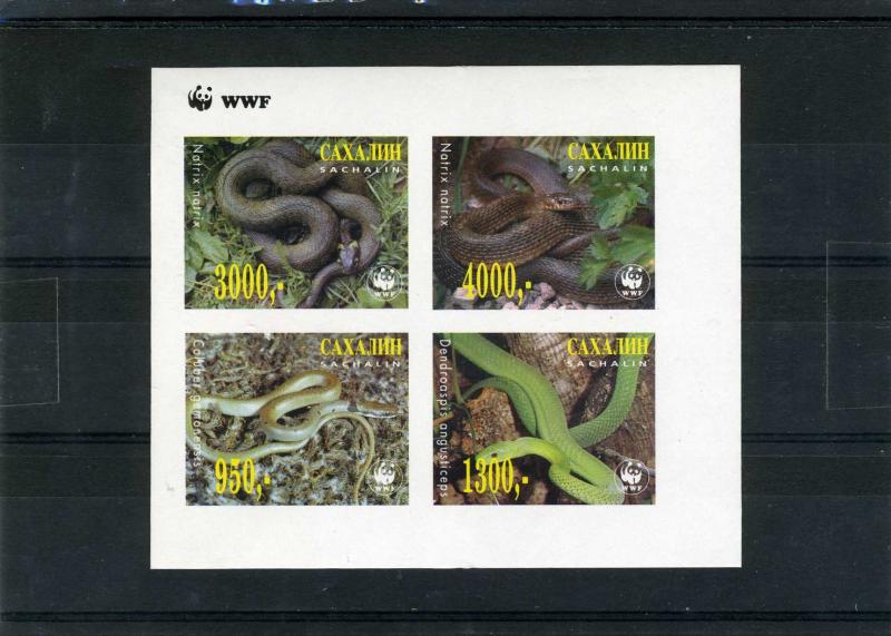 Sakhalin Russia Local 1999 WWF Snakes Sheet Imperforated Mint (NH)