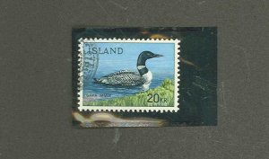 Iceland #388  Single (Bird)