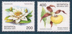 2001    Belarus    407-408    Flowers