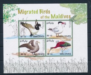 [38212] Maldives 2007 Birds Oiseaux�Uccelli  Miniature Sheet MNH