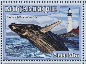 Whales Stamp Lighthouses Balaenoptera Physalus Orcinus Orca S/S MNH #3050-3055