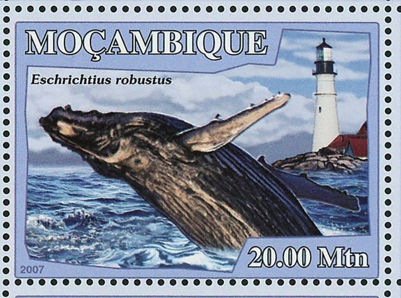 Whales Stamp Lighthouses Balaenoptera Physalus Orcinus Orca S/S MNH #3050-3055