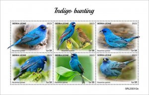 SIERRA LEONE - 2023 - Indigo Birds - Perf 6v Sheet - Mint Never Hinged