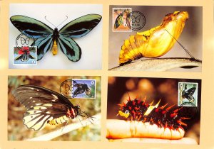 Papua New Guinea WWF World Wild Fund for Nature maxicards Birdwing butterfly