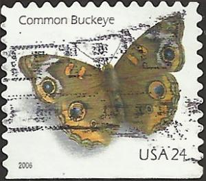 # 4001a USED COMMON BUCKEYE BUTTERFLY