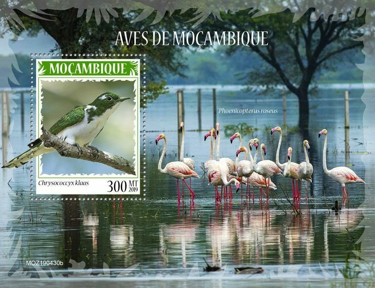 Z08 IMPERF MOZ190430b MOZAMBIQUE 2019 Birds of Mozambique MNH ** Postfrisch