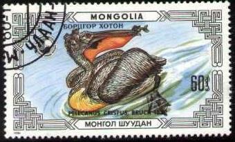 Bird, Pelican, Mongolia stamp SC#1538a used