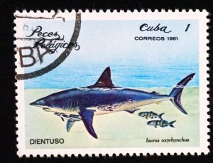 CUBA Sc# 2385  ARCHIPELAGO WILDLIFE marine fish   1c  1981 used cto