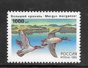 Russia #6286 MNH Single Ducks