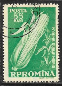 Romania 1269: 55b Maize (Zeya mais), used, F-VF