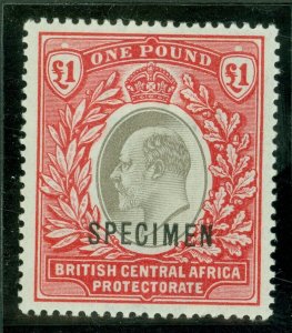 SG 66 Nyasaland 1903-04. £1 grey & carmine, overprinted specimen. Lightly...