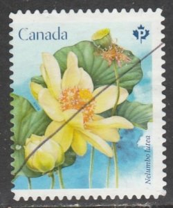 Canada   3091   (O)    2018