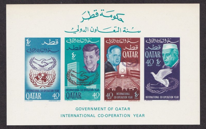 Qatar # 100C (footnote), International Cooperation Year, NH, 1/2 Cat.