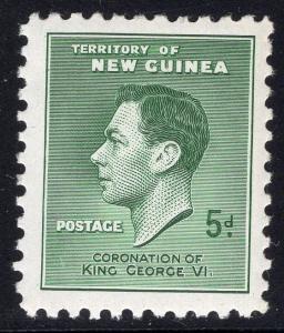 NEW GUINEA SCOTT 50