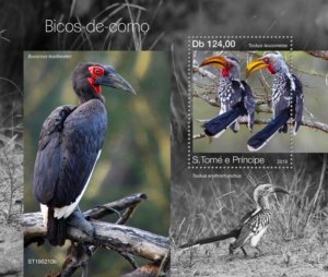 St Thomas - 2019 Hornbill Birds - Stamp Souvenir Sheet - ST190210b