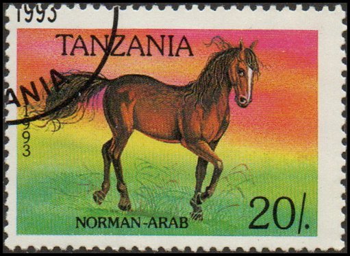 Tanzania 1152 - Cto - 20/. Norman Arab Horse (1993)