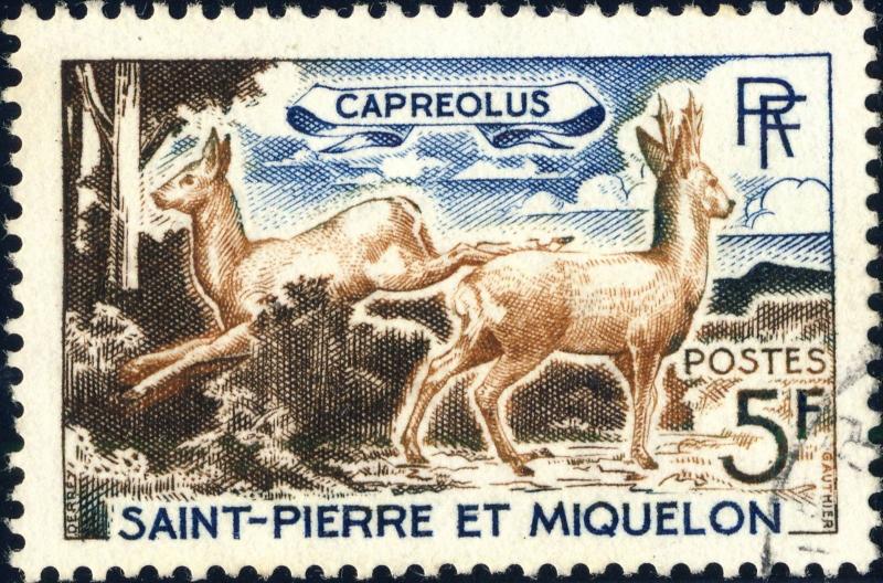 St-PIERRE-&-MIQUELON - 1964 - Yv.374/Mi.410 5fr Capreolus (Chevreuil) - Obl. TB