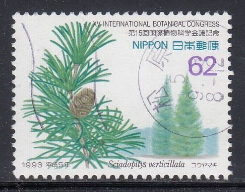 Japan 1993 Sc#2207 Japanese umbrella-pine (Sciadopitys verticillata) Used