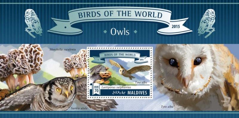 MALDIVES 2015 SHEET OWLS BIRDS mld15707b