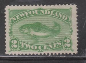 NEWFOUNDLAND Scott # 46 - Mint NO GUM  Early Codfish Issue