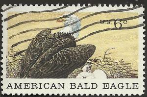 # 1387 USED BALD EAGLE