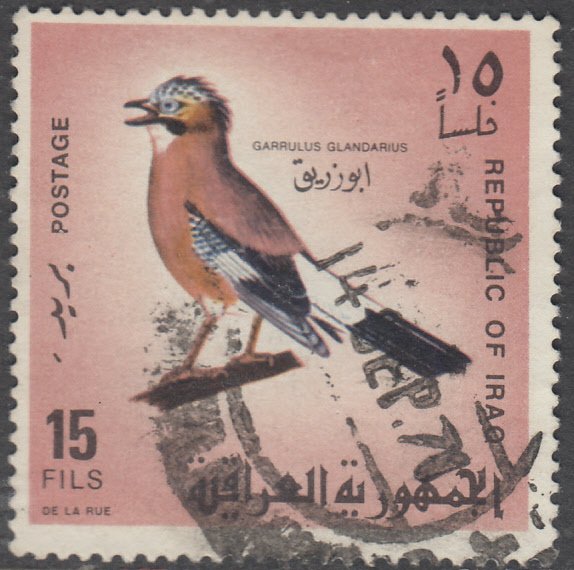 Iraq  # 464   Used