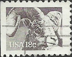 # 1880 USED BIGHORN SHEEP