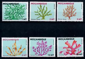 [65909] Mozambique 1983 Flora Plants Seaweed  MNH