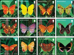 Montserrat 2013 - Butterfly Definitive - Set of 12 Stamps - Scott #1303-14 - MNH